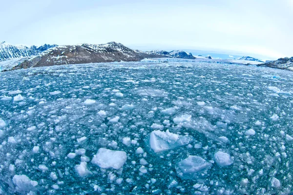 Drift Floating Ice Snowcapped Mountains Ijsberg Ice Floes Albert Land — Stockfoto