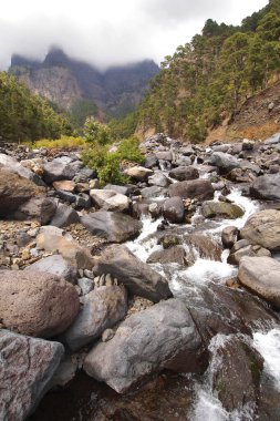 Taburiente Nehri, Caldera de Taburiente Ulusal Parkı, Biyosfer Rezervi, La Palma, Kanarya Adaları, İspanya, Avrupa