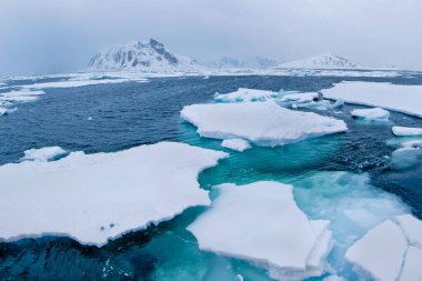 Sürüklenen Buz, Albert I Land, Arctic, Spitsbergen, Svalbard, Norveç, Avrupa