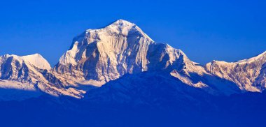 Dhaulagiri Sıradağları, Annapurna Sıradağları Güneş Doğumu, Poon Hill Manzara Noktası, Ghorepani, Annapurna Koruma Alanı, Himalaya, Nepal, Asya
