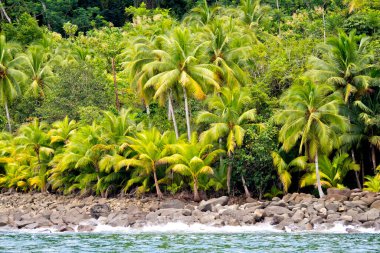 Coast Landscape, Marino Ballena National Park, Pacific Ocean, Uvita de Osa, Puntarenas, Costa Rica, Central America, America clipart