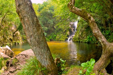 Pozo da Ferida Şelalesi, Viveiro, Lugo, Galiçya, İspanya, Avrupa