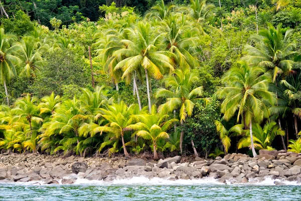 Coast Landscape Marino Ballena National Park Pacific Ocean Uvita Osa — 스톡 사진