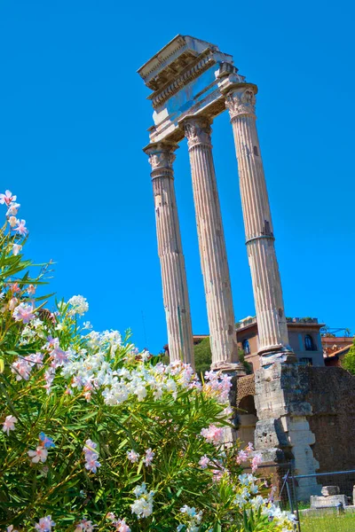 Roman Forum Foro Romano World Heritage Site Rome Lazio Italy — Stock Photo, Image