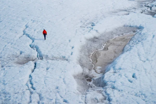 Glaciar Trekking Glaciar Nordenskiold Petuniabukta Billefjord Ártico Spitsbergen Svalbard Noruega — Fotografia de Stock