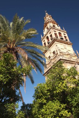 Minaret Kulesi - Çan Kulesi, Hz. Meryem 'in Katedrali Büyük Crdoba Camii, Cordoba, Endülüs, İspanya, Avrupa