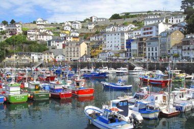 Luarca Limanı, Balıkçılık Limanı, Luarca, Asturias, İspanya, Avrupa