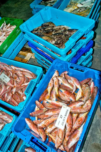 Cesti Pesce Nel Mercato Del Pesce Porto Pesca Mar Mediterraneo — Foto Stock