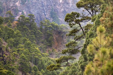 Dağlar, Caldera de Taburiente Ulusal Parkı, Biyosfer Rezervi, La Palma, Kanarya Adaları, İspanya, Europ