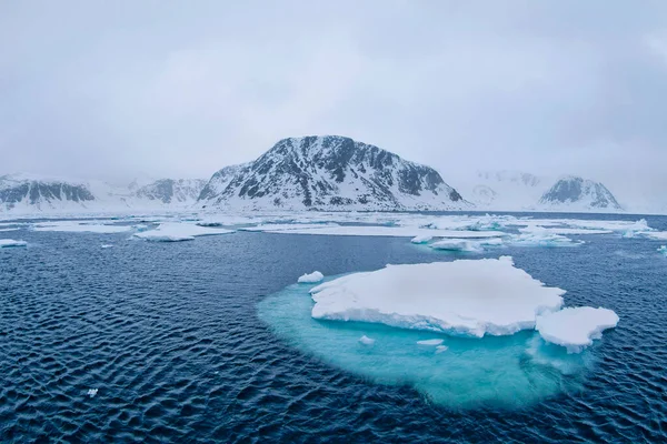 Drift Floating Ice Albert Land Arctic Spitsbergen Svalbard Norsko Evropa — Stock fotografie