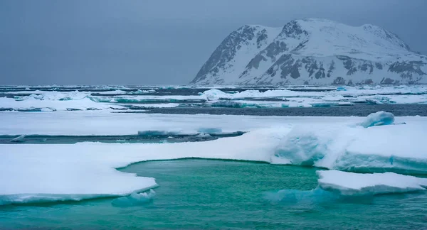 Gelo Flutuante Deriva Montanhas Cobertas Neve Albert Land Arctic Spitsbergen — Fotografia de Stock