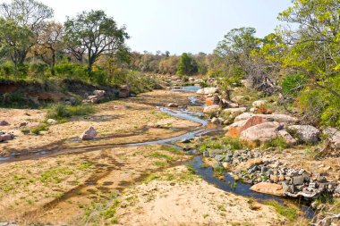 Peyzaj, Sabie Nehri, Kruger Ulusal Parkı, Güney Afrika, Afrika
