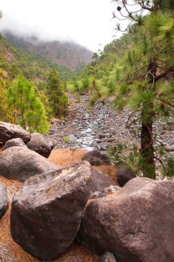 Roller Magmatic Rocks in Taburiente Riverbed, Caldera de Taburiente National Park, Biosphere Reserve, ZEPA, LIC, La Palma, Canary Islands, Spain, Europe clipart