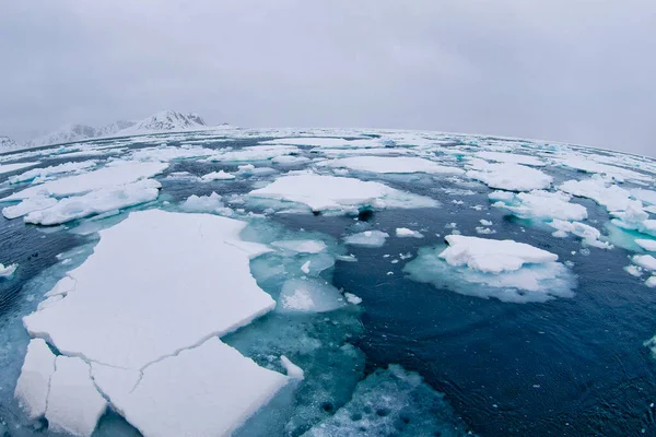Drift Floating Ice Albert Land Arctic Spitsbergen Svalbard Norsko Evropa — Stock fotografie