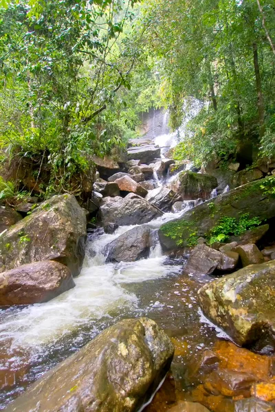 Vodopád Sinharaja Národní Park Deštný Prales Sinharaja Forest Reserve Světové — Stock fotografie