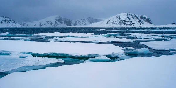 Gelo Flutuante Deriva Montanhas Cobertas Neve Albert Land Arctic Spitsbergen — Fotografia de Stock