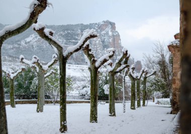 Dağ manzaralı karlı inziva yeri