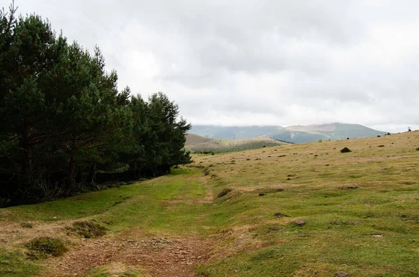 Dağdaki yol