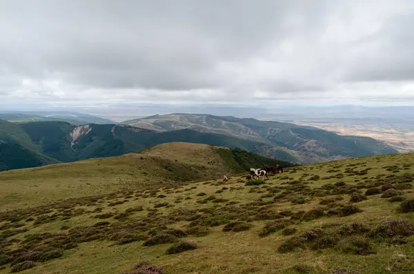 Bulutlu dağ manzarası ve inanılmaz manzarası var.