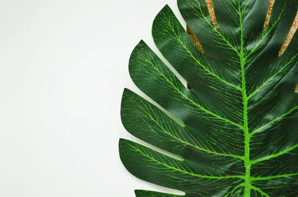 Green Palm Leaf Lies White Background — Stock Photo, Image