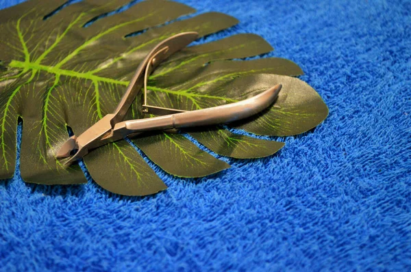 Nagelklippare ligger på handflatan på en bakgrund av blått tyg — Stockfoto