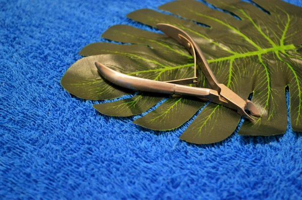 Nagelklippare ligger på handflatan på en bakgrund av blått tyg — Stockfoto