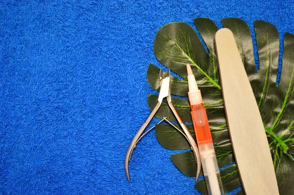 Lime à ongles et tondeuses reposent sur la feuille de palme sur un fond de tissu bleu — Photo