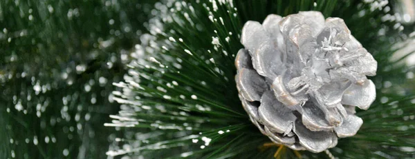 White Spruce Pine Cone Fir Christmas Branch Snow Banner — Stock Photo, Image