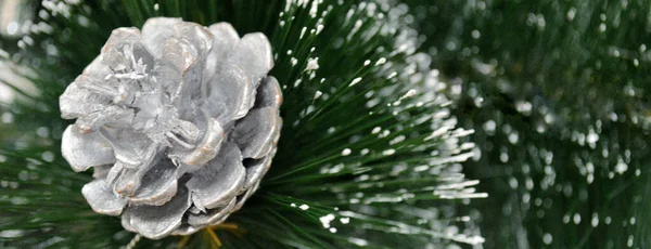 Vit Gran Kotte Gran Julgran Gren Med Snö Banderoll — Stockfoto