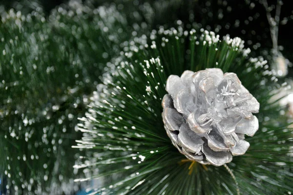 Cono Pino Abeto Blanco Rama Navidad Abeto Con Nieve — Foto de Stock