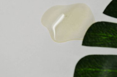 Beyaz arkaplanda yeşil palmiye yaprağı ile bej şeffaf damlası.