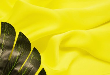 Tropik palmiye yapraklarının ortasında epty boşluk var. düz yatış, üst görünüm.