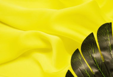 Tropik palmiye yapraklarının ortasında epty boşluk var. düz yatış, üst görünüm.