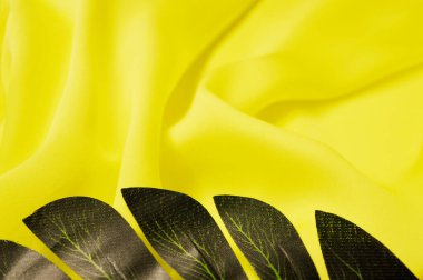 Tropik palmiye yapraklarının ortasında epty boşluk var. düz yatış, üst görünüm.