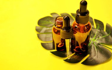 Tropik palmiye yapraklarının ortasında epty boşluk var. Düz yatış, üst manzara. Pipetli cam şişe.