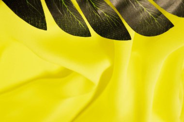 Tropik palmiye yapraklarının ortasında epty boşluk var. düz yatış, üst görünüm