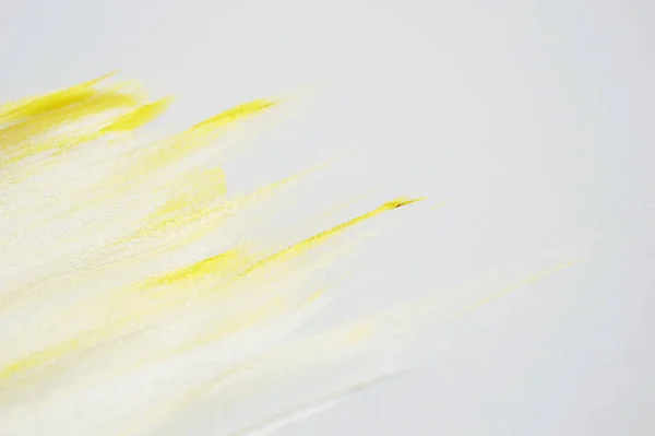 paint colorful on a white background. paint strokes. Gold and silver blot with copy space of paint.