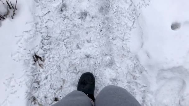 Mulher Sapatos Pretos Caminha Através Neve Recém Caída Disparar Pernas — Vídeo de Stock