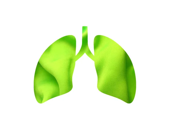 Textura Arrugada Tela Verde Dispararon Través Silueta Cortada Los Pulmones — Foto de Stock