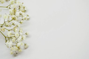 Kopyalama alanı olan beyaz bir arkaplanda bir sürü beyaz çiçekli dal.