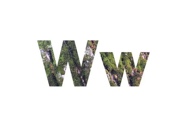绿苔树皮 在W字的剪裁轮廓中拍摄 — 图库照片