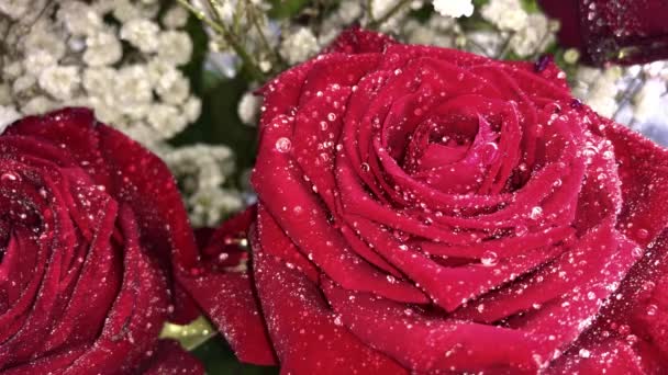 水滴付きのバラの新鮮なおいしい花束のクローズアップ 花束の配達 選択的焦点 フィールドの浅い深さ — ストック動画