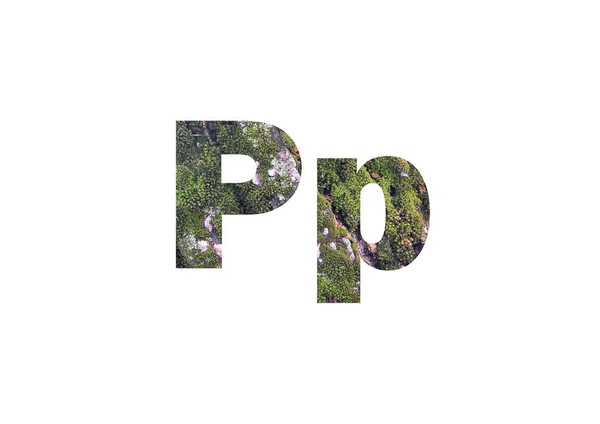 緑の苔で樹皮 文字Pのカットアウトシルエットを通して撮影 — ストック写真