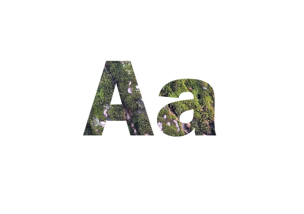 绿苔树皮 在字母A的剪裁轮廓中拍摄 — 图库照片