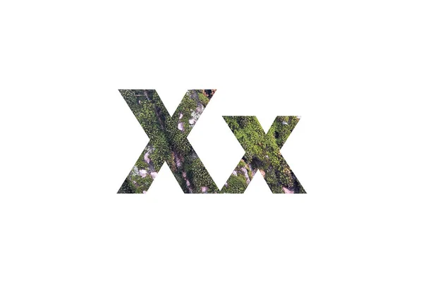 緑の苔で樹皮 文字Xのカットアウトシルエットを通して撮影 — ストック写真