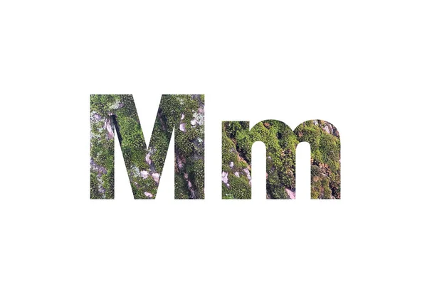 Tree Bark Green Moss Shot Cut Out Silhouette Letter — Stock Photo, Image