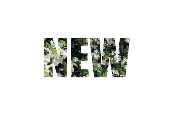 Yeşil Yapraklı Beyaz Çiçekler Yeni Sözcüğünün Kesik Siluetini Delip Geçti — Stok fotoğraf