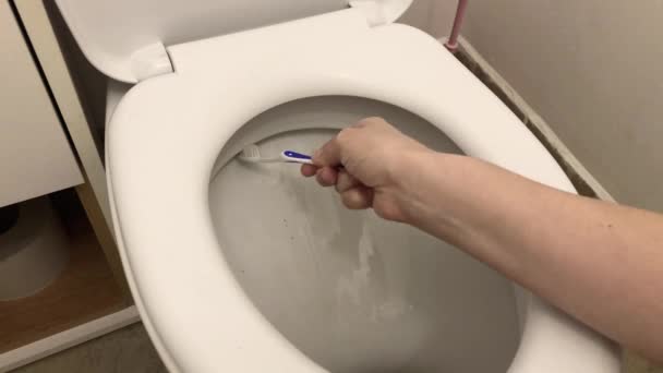 Young Woman Gloves Washes Dirty Toilet Toothbrush Cleaning Company Employee — Stock Video