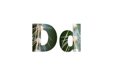 Huysuz Kara Kaktüs Macro. D harfinin siluetini delip geçmiş.