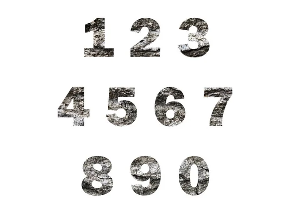 Graue Baumrindenstruktur Durch Die Ausgeschnittene Silhouette Der Zahlen Geschossen — Stockfoto